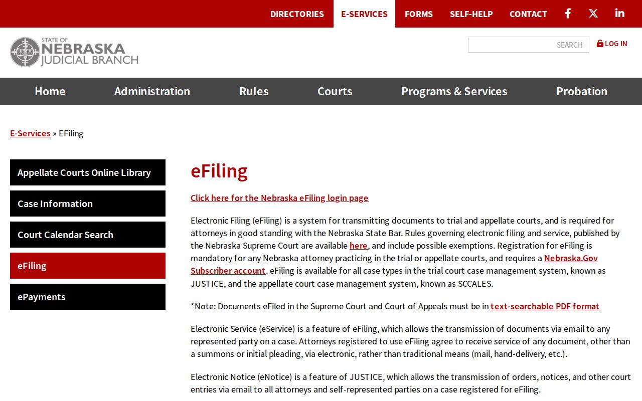 Cass County civil docket Nebraska eFiling and eService overview